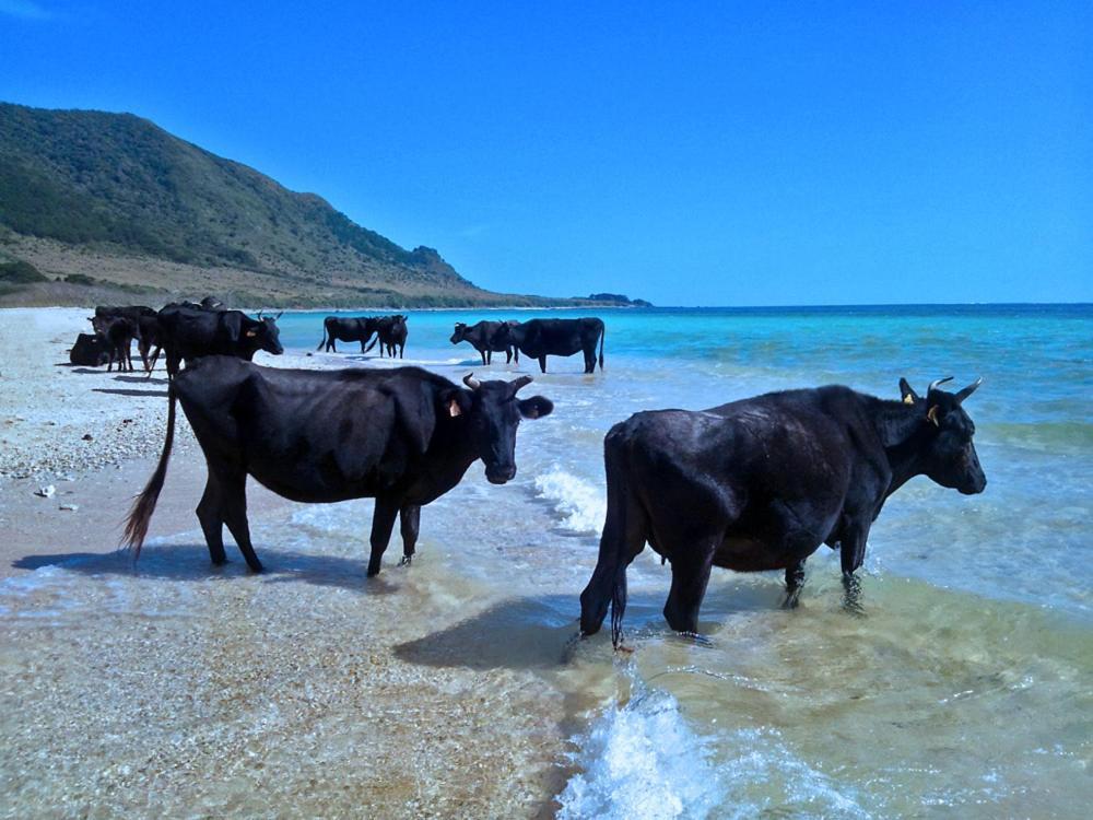Отель 435 Ishigaki  Экстерьер фото