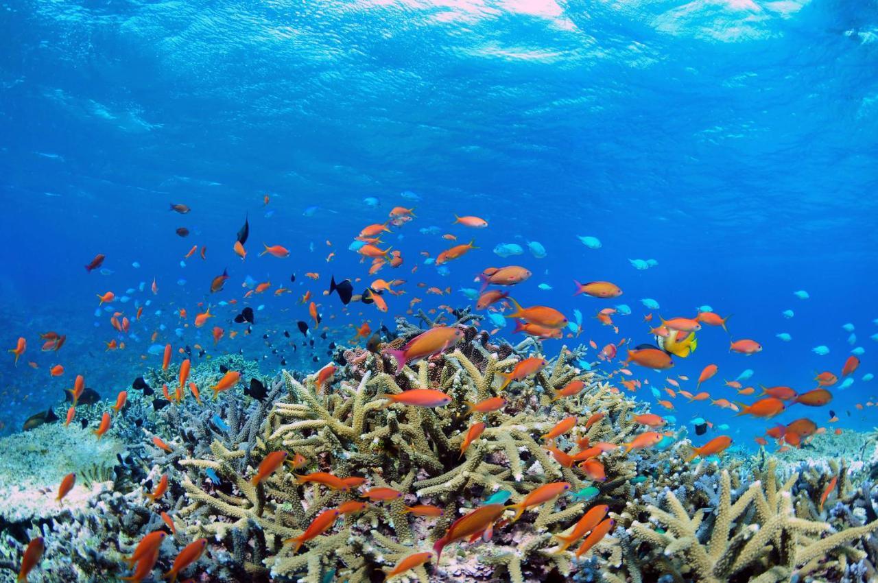 Отель 435 Ishigaki  Экстерьер фото